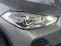 BMW X2 sDrive 18 d Advantage Soundsystem LED Sportsitze P Grau - thumbnail 10