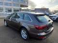 Audi A4 g-tron design/Auto Verbraucht ÖL Grau - thumbnail 4