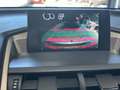 Lexus NX 300h NX300H 2.5l 197 ch Climatisation automatique ~ Vol Gris - thumbnail 25