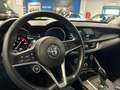 Alfa Romeo Stelvio Stelvio 2.2 t Business Q4 210cv auto my19 Grijs - thumbnail 5