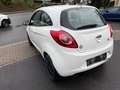 Ford Ka/Ka+ Trend Klima,Neu Tüv Weiß - thumbnail 7