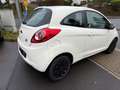 Ford Ka/Ka+ Trend Klima,Neu Tüv Weiß - thumbnail 5