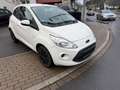 Ford Ka/Ka+ Trend Klima,Neu Tüv Weiß - thumbnail 3