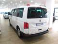 Volkswagen T6 Caravelle 2.0 TDI 110 CV T6 P.C. TRENDELINE Bianco - thumbnail 3