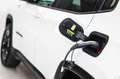 Jeep Compass 1.3 PHEV Trailhawk EAWD Aut. 240 Blanco - thumbnail 8