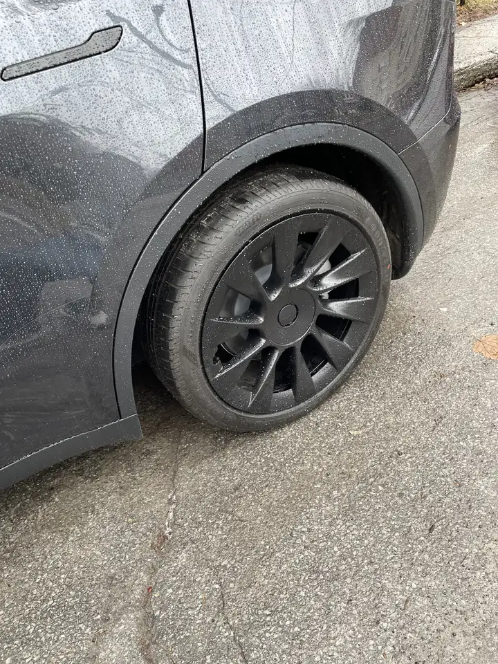 Tesla Model Y снимка Tesla Model Y
