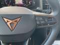 CUPRA Ateca 2.0SI DSG 4Drive AHK Schiebedach Weiß - thumbnail 12