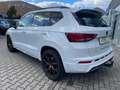 CUPRA Ateca 2.0SI DSG 4Drive AHK Schiebedach Weiß - thumbnail 5