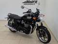 Triumph Noir - thumbnail 2