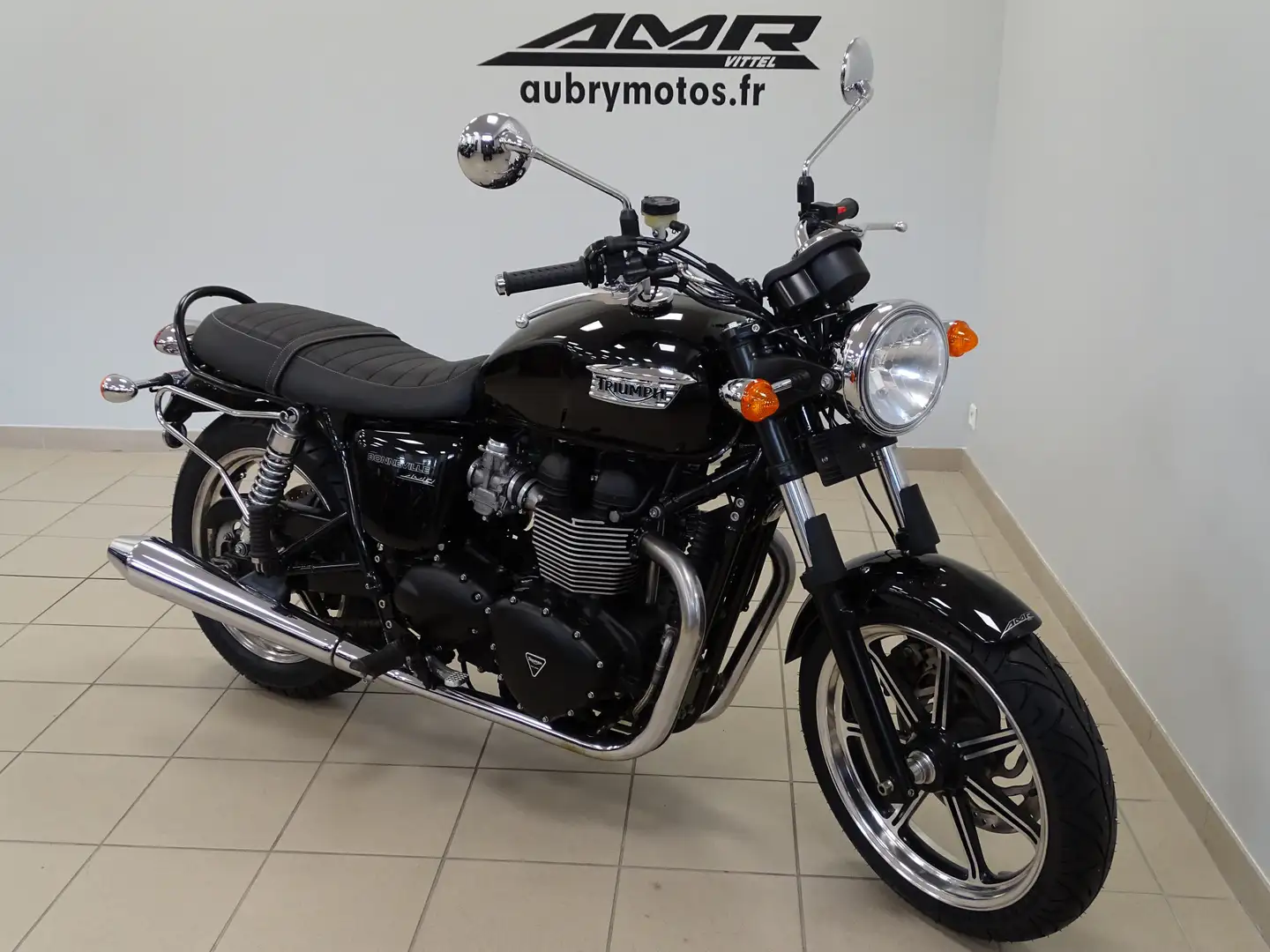 Triumph Noir - 2