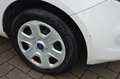 Ford Ka/Ka+ Ka 1.2 + 69cv E6 Blanc - thumbnail 22