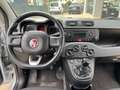 Fiat Panda 1.2 Easy Argento - thumbnail 11