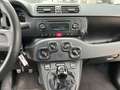 Fiat Panda 1.2 Easy Argento - thumbnail 13