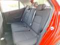 Kia Picanto Titan 1.0 MPI 67PS Rot - thumbnail 11