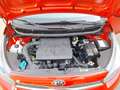 Kia Picanto Titan 1.0 MPI 67PS Rot - thumbnail 20