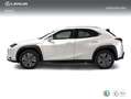 Lexus UX 300e e- Weiß - thumbnail 3