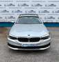 BMW 530 530dA Touring Plateado - thumbnail 5