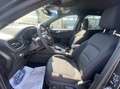 Ford Kuga St-Line 2.5 Full-Hybrid 190CV 2WD S&S - NUOVA Blu/Azzurro - thumbnail 8