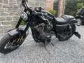 Harley-Davidson Roadster sportster 1200 etat impeccable - thumbnail 10
