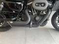 Harley-Davidson Roadster sportster 1200 etat impeccable - thumbnail 6