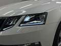 Skoda Octavia Style I Limited Combi I 1,6 TDI 4x4 I NEUES GUTAC Weiß - thumbnail 25
