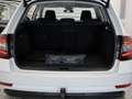Skoda Octavia Style I Limited Combi I 1,6 TDI 4x4 I NEUES GUTAC Weiß - thumbnail 23