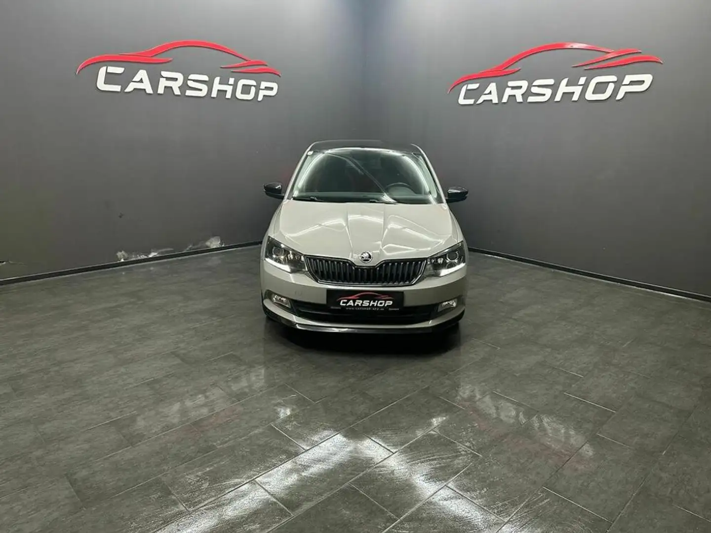 Skoda Fabia Monte Carlo Grau - 1