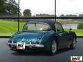 Austin-Healey 3000 UNICO PROPRIETARIO Grün - thumbnail 5