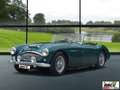 Austin-Healey 3000 UNICO PROPRIETARIO Grün - thumbnail 6