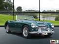 Austin-Healey 3000 UNICO PROPRIETARIO Grün - thumbnail 4