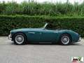 Austin-Healey 3000 UNICO PROPRIETARIO Grün - thumbnail 3