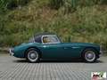 Austin-Healey 3000 UNICO PROPRIETARIO Grün - thumbnail 8
