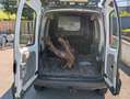 Renault Kangoo Kangoo Expression 1,9 dCi 4x4 Expression Grün - thumbnail 4