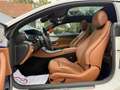 Mercedes-Benz E 220 d 4MATIC Aut. Avantgarde MEGA Ausstattung!! Weiß - thumbnail 24