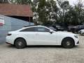 Mercedes-Benz E 220 d 4MATIC Aut. Avantgarde MEGA Ausstattung!! Weiß - thumbnail 6