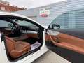 Mercedes-Benz E 220 d 4MATIC Aut. Avantgarde MEGA Ausstattung!! Weiß - thumbnail 19