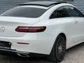 Mercedes-Benz E 220 d 4MATIC Aut. Avantgarde MEGA Ausstattung!! Weiß - thumbnail 16
