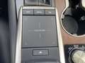 Lexus RX 450h AWD President Line NL-AUTO FACELIFT TREKHAAK 1E-EI Grijs - thumbnail 24