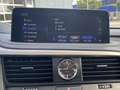 Lexus RX 450h AWD President Line NL-AUTO FACELIFT TREKHAAK 1E-EI Grijs - thumbnail 17