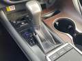Lexus RX 450h AWD President Line NL-AUTO FACELIFT TREKHAAK 1E-EI Grijs - thumbnail 23