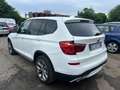 BMW X3 X3 F25 LCI 2014 xdrive20d auto Bianco - thumbnail 8