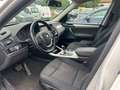 BMW X3 X3 F25 LCI 2014 xdrive20d auto Bianco - thumbnail 9
