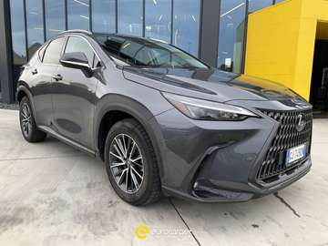 NX 300h