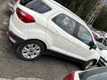 Ford EcoSport FORD ECOSPORT 1.5 EcoBlue TDCi 95Cv Blanc - thumbnail 5