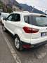 Ford EcoSport FORD ECOSPORT 1.5 EcoBlue TDCi 95Cv Bianco - thumbnail 3