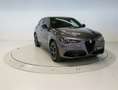 Alfa Romeo Stelvio 2.2 Veloce Q4 210 Aut. Grau - thumbnail 7