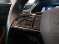 Skoda Superb Kombi 2,0 TDI 4x4 Premium Edition DSG Grau - thumbnail 21