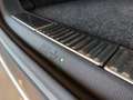 Skoda Superb Kombi 2,0 TDI 4x4 Premium Edition DSG Grau - thumbnail 9
