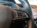 Skoda Superb Kombi 2,0 TDI 4x4 Premium Edition DSG Grau - thumbnail 22