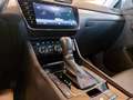 Skoda Superb Kombi 2,0 TDI 4x4 Premium Edition DSG Grau - thumbnail 23